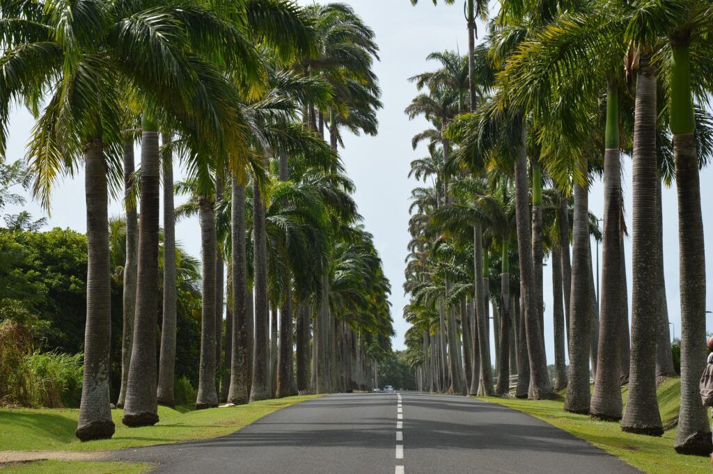 guadeloupe-1158593_1920
